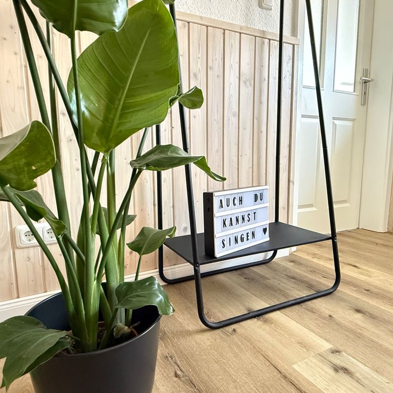 Gesangsunterricht Lübeck Vocal Coaching