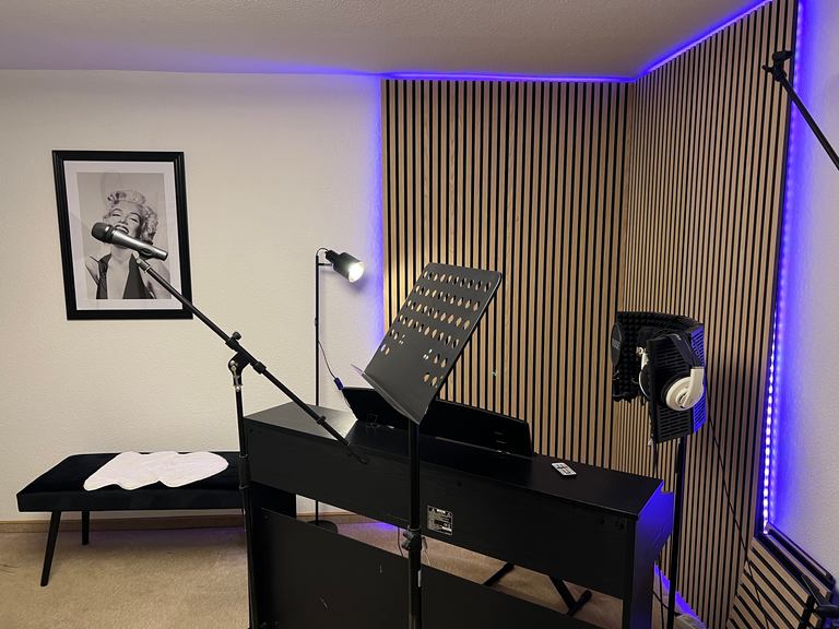 Gesangsunterricht Lübeck Vocal Coaching